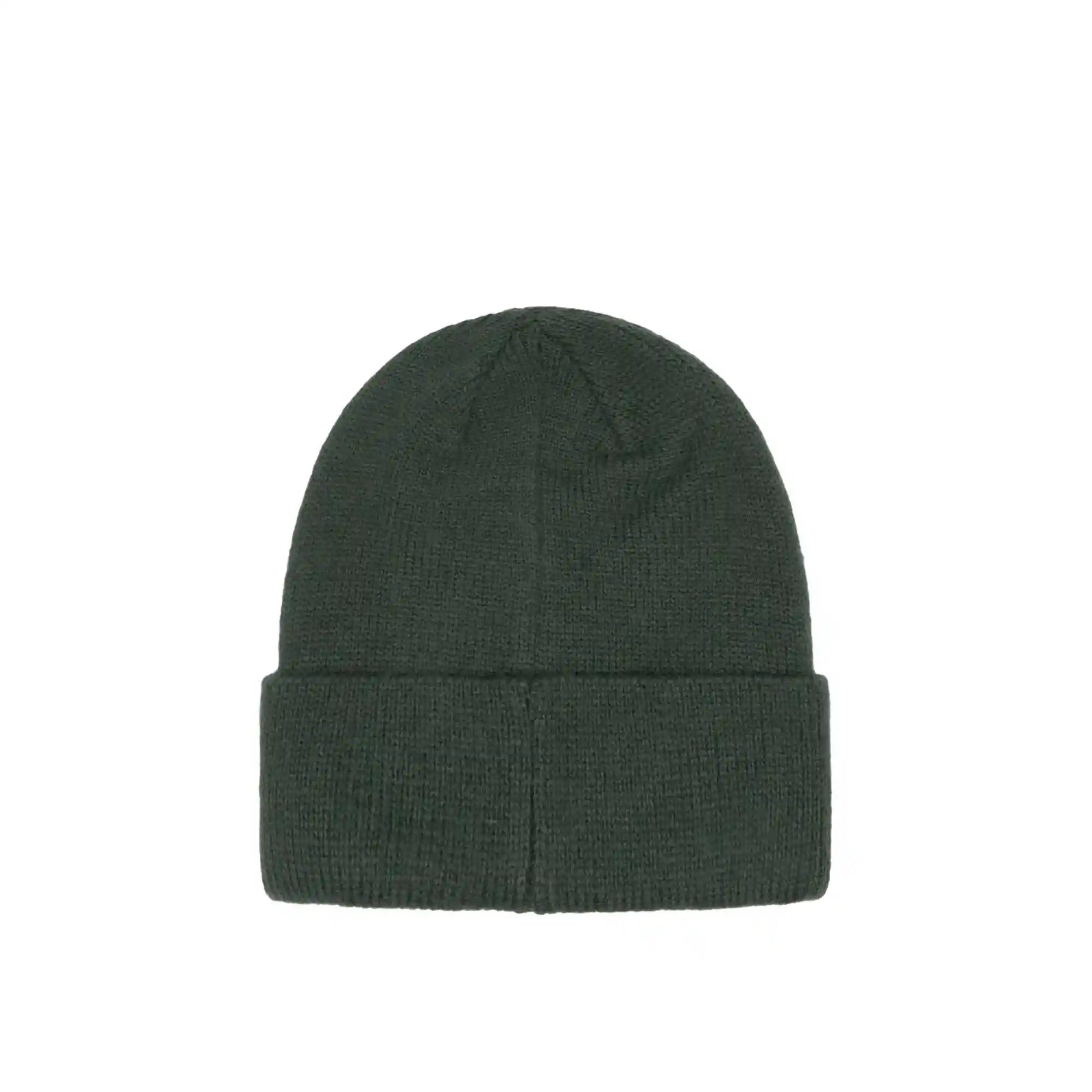 Stussy Big Link Cuff Beanie, pine — available at Norwood