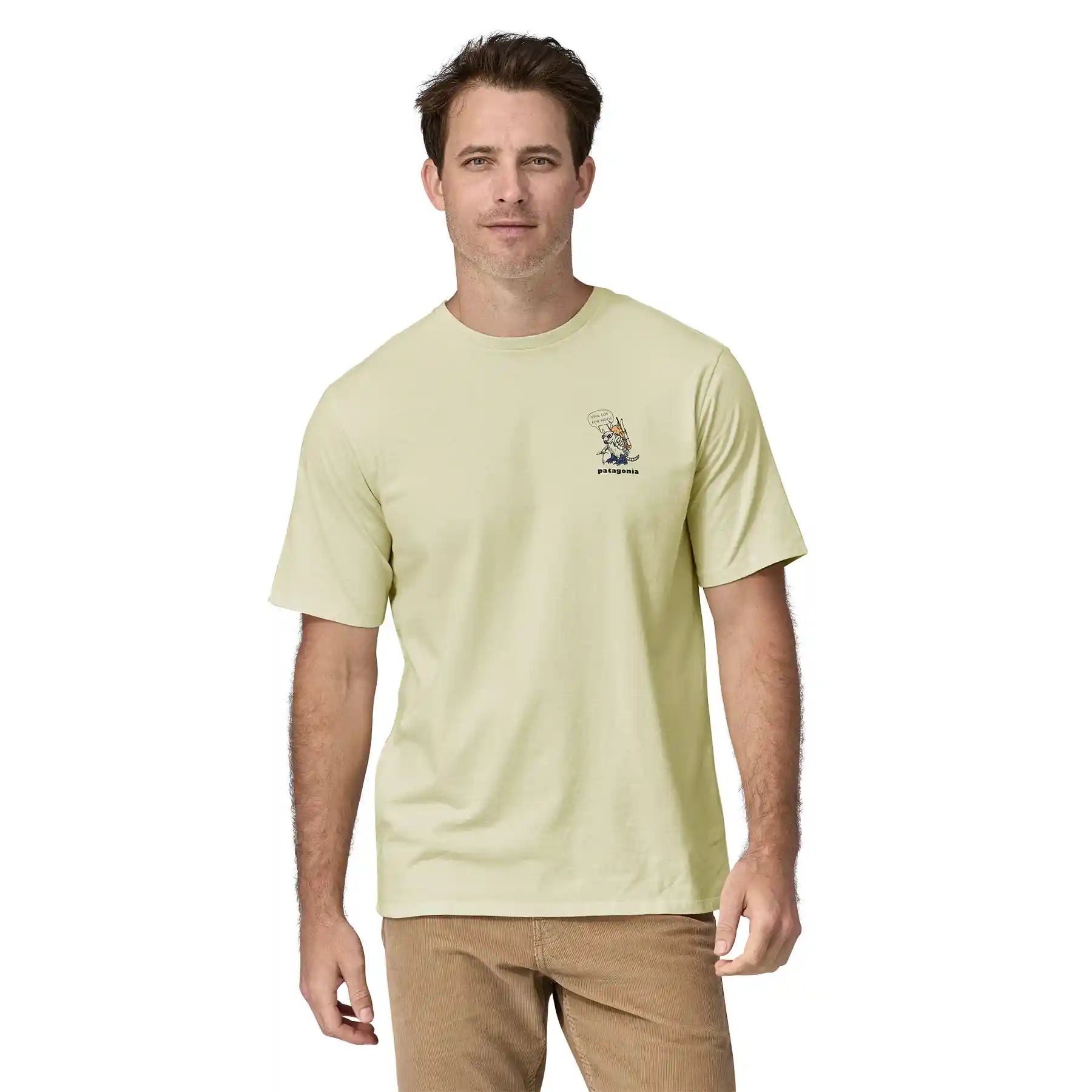 Patagonia Men's 50 Year Responsibili-Tee, fun hogs: birch white — available at Norwood