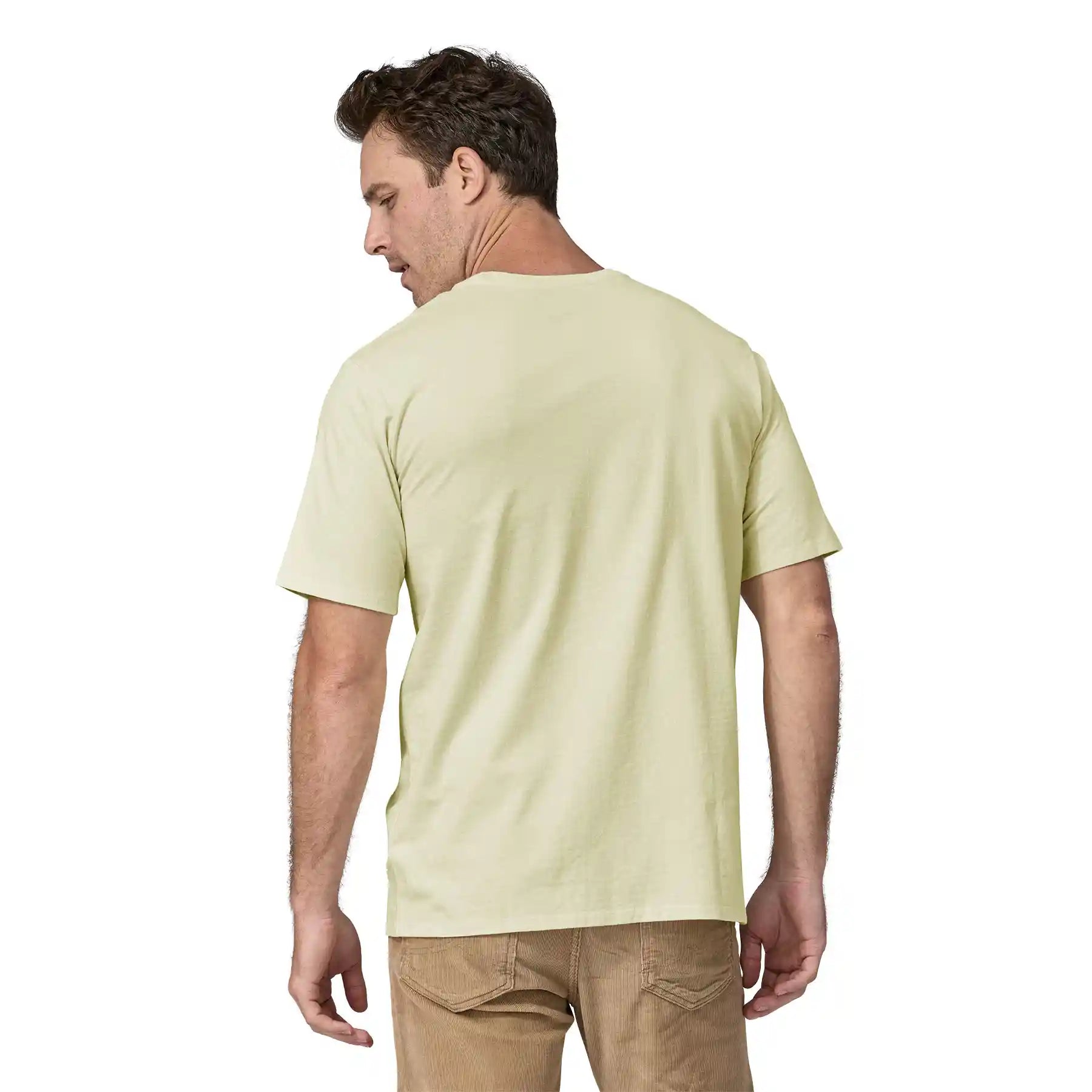 Patagonia Men's 50 Year Responsibili-Tee, fun hogs: birch white — available at Norwood