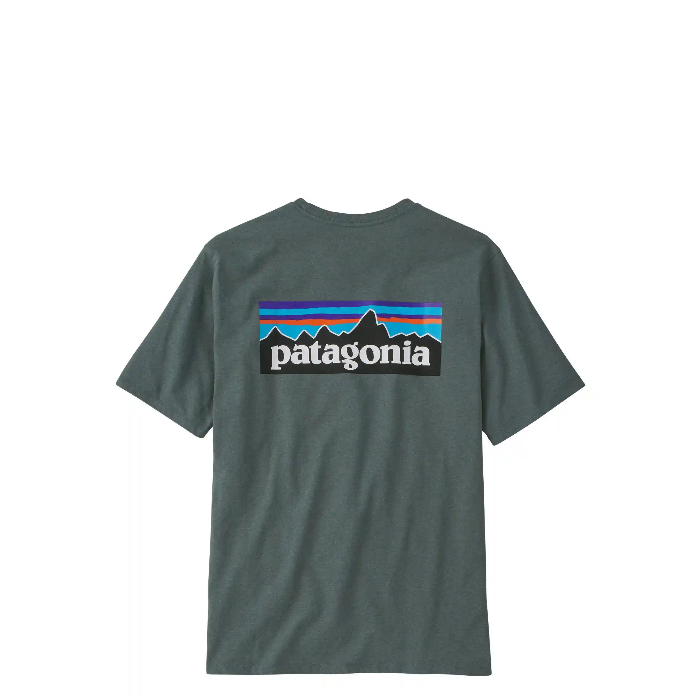 Patagonia P-6 Logo Responsibili-Tee, nouveau green