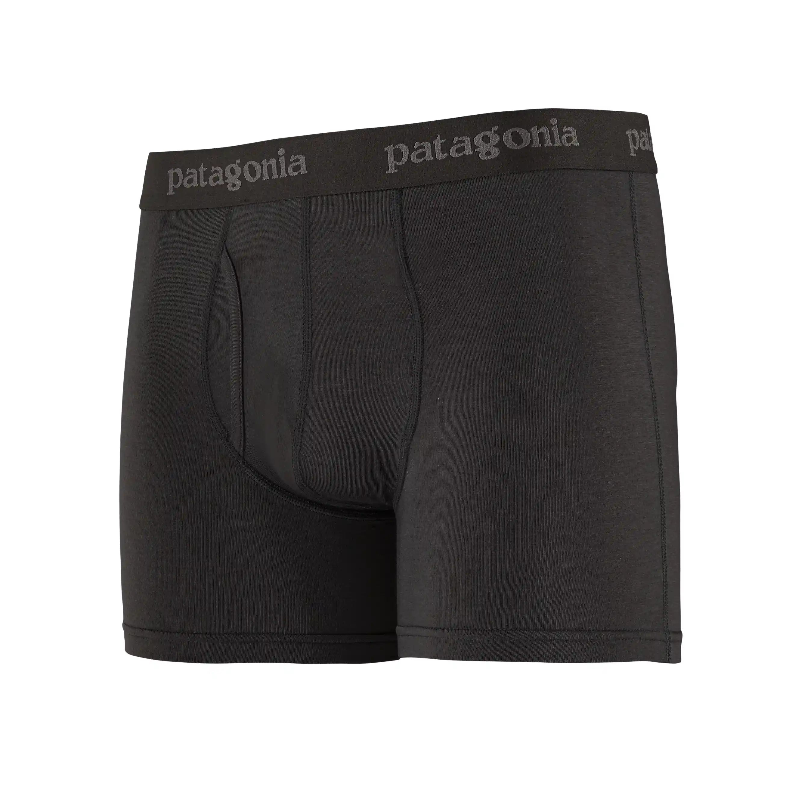 Patagonia Men'S Essential Boxer Briefs - 3 In., black