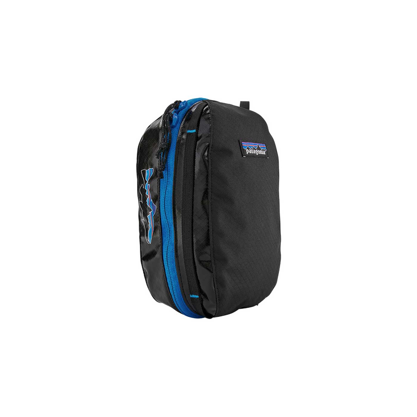Patagonia Black Hole Cube - Small, Black W/Fitz Trout — available at Norwood