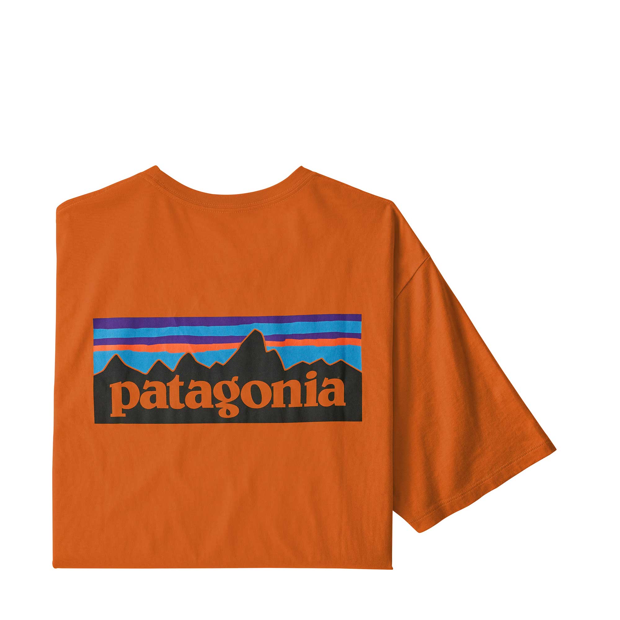 Patagonia Mens P-6 Logo Organic T-shirt — available at Norwood