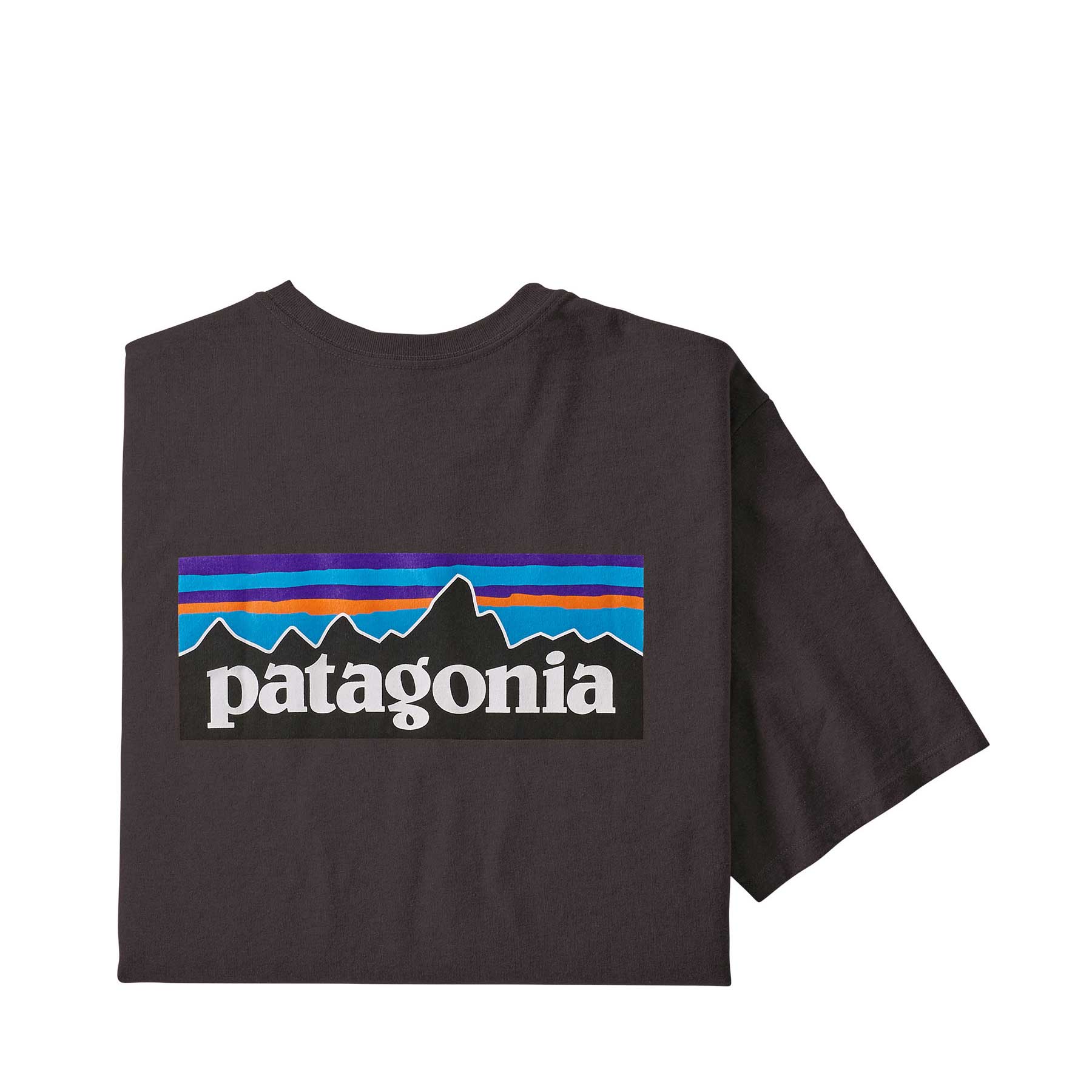 Patagonia Mens P-6 Logo Responsibili-tee® — available at Norwood