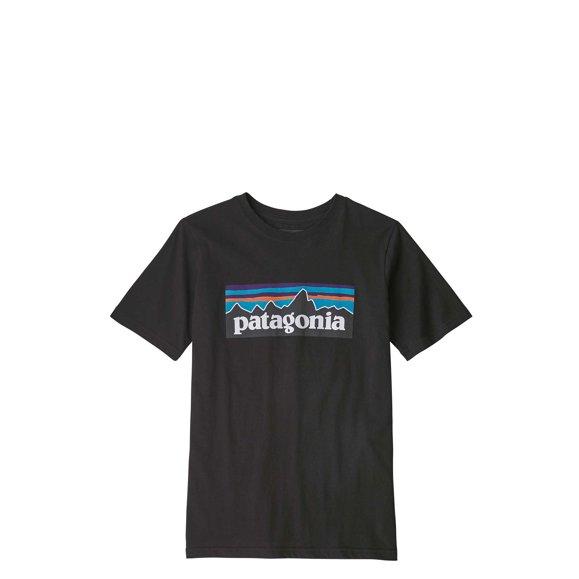 Patagonia Boys P-6 Logo Organic T-shirt — available at Norwood
