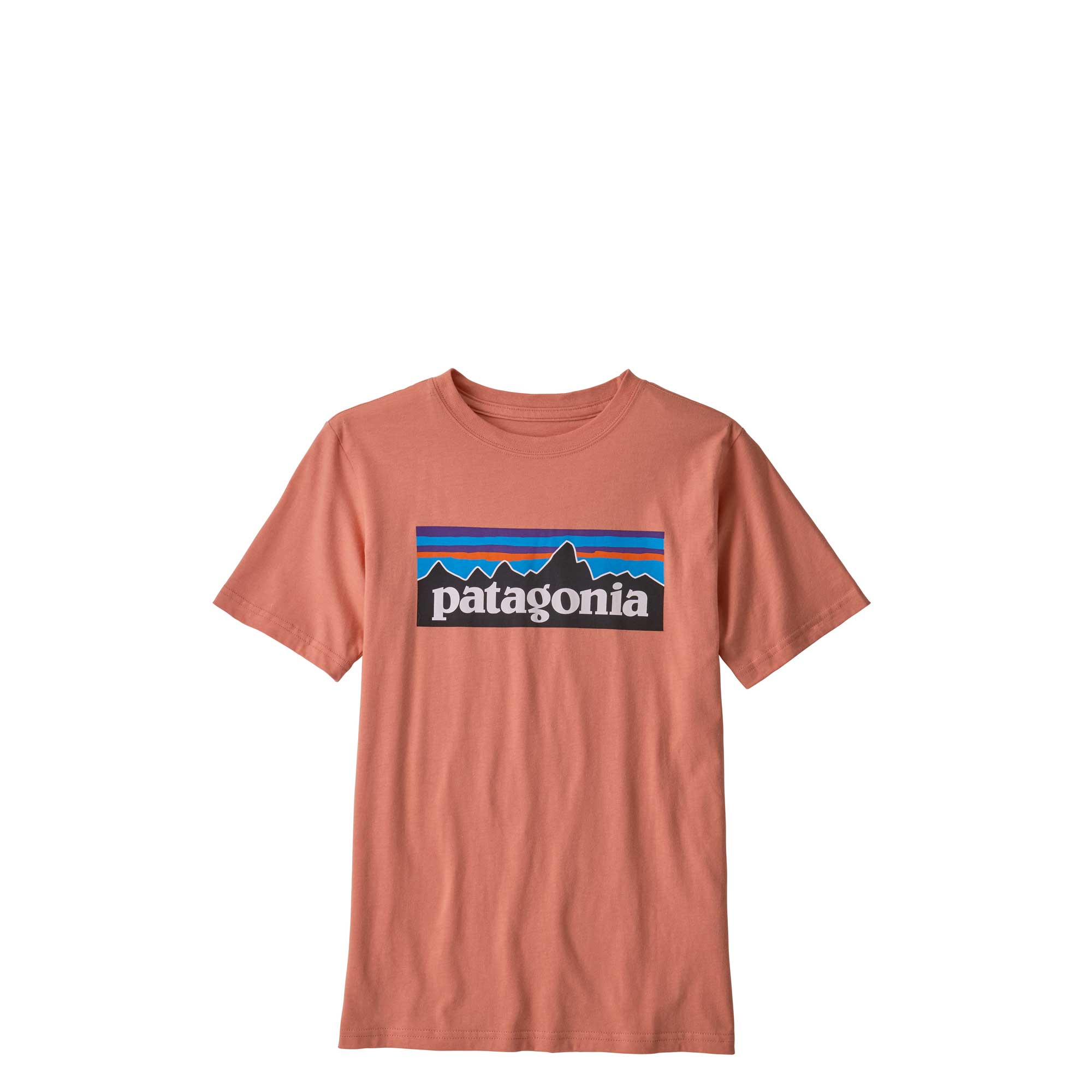 Patagonia Boys P-6 Logo Organic T-shirt — available at Norwood