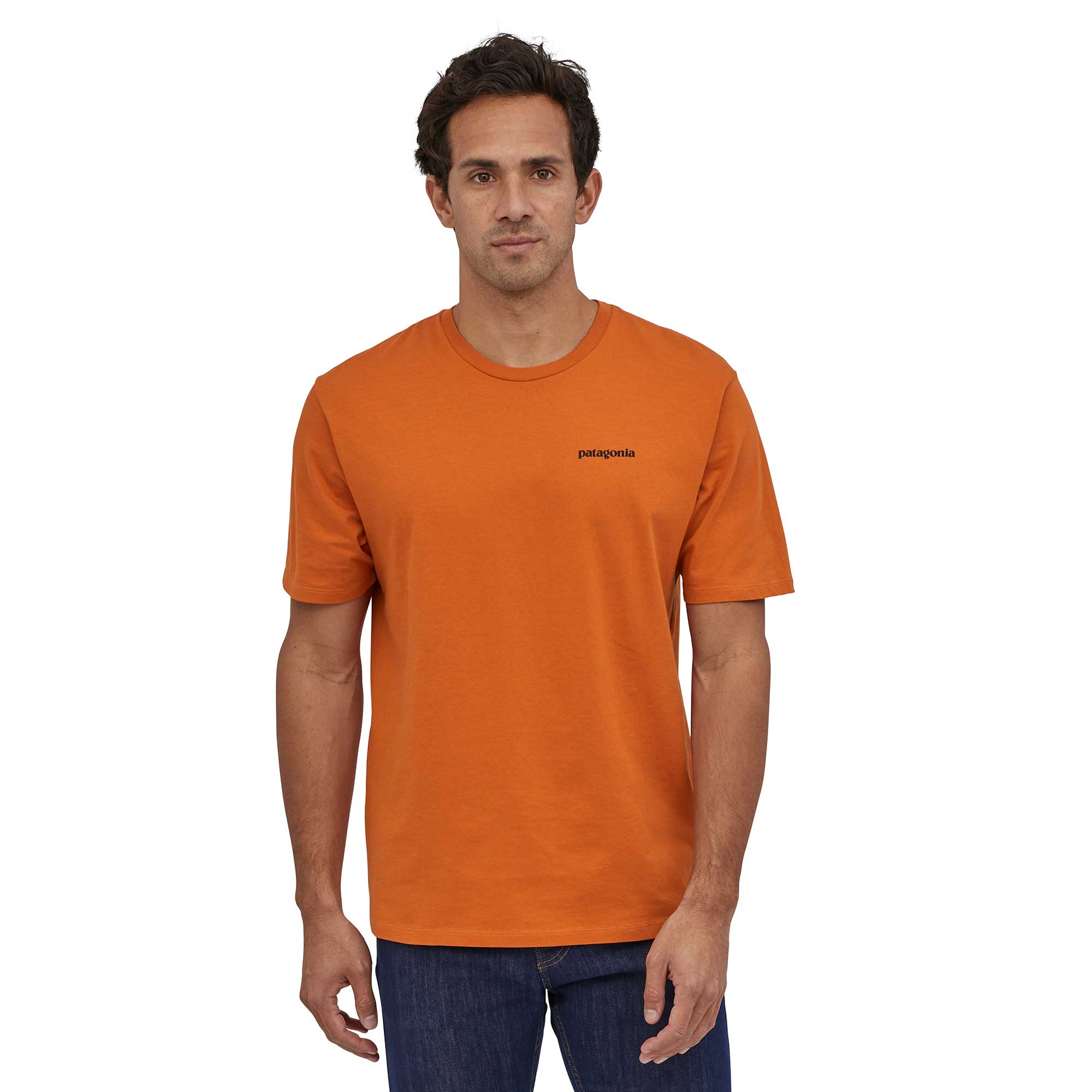 Patagonia Mens P-6 Logo Organic T-shirt — available at Norwood