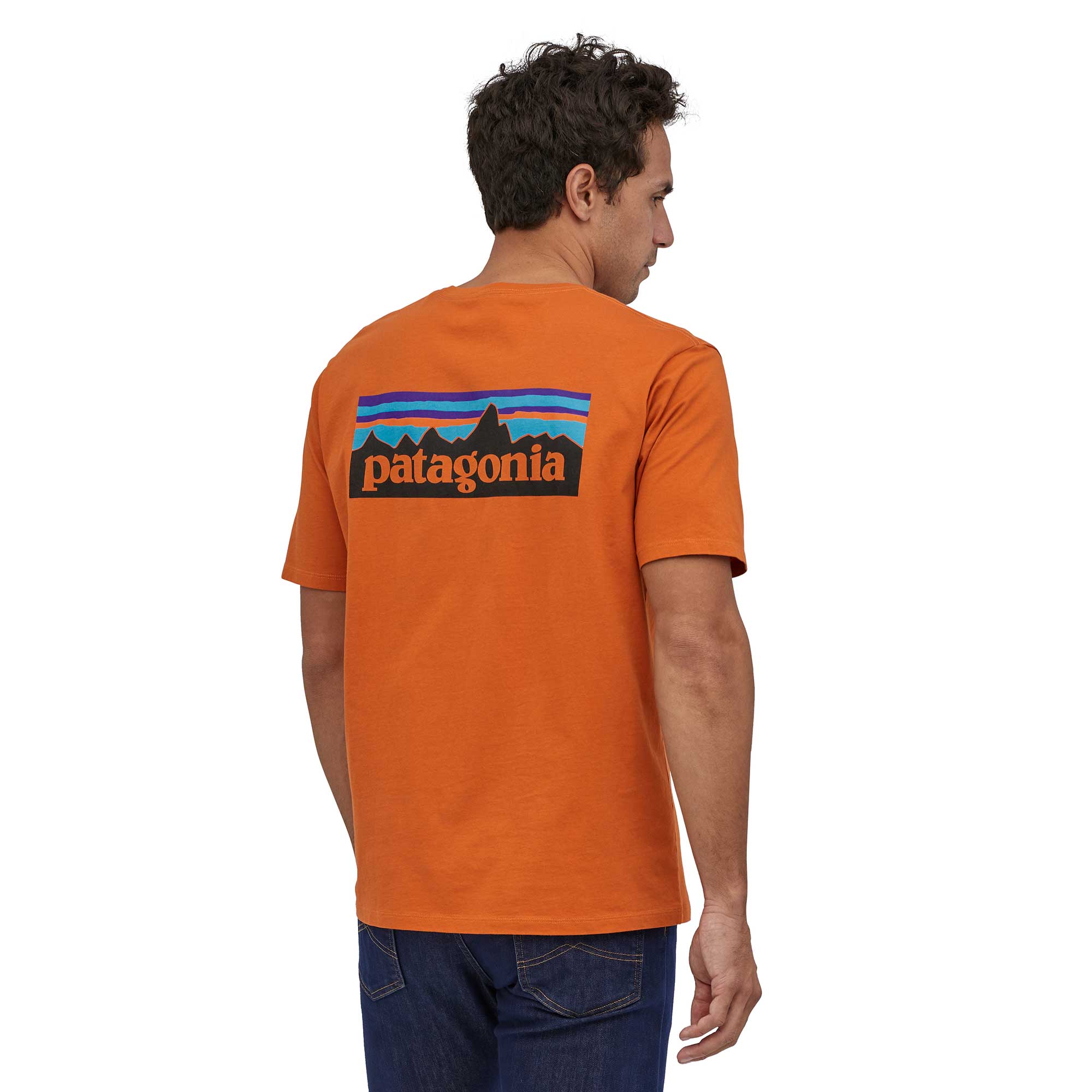 Patagonia Mens P-6 Logo Organic T-shirt — available at Norwood