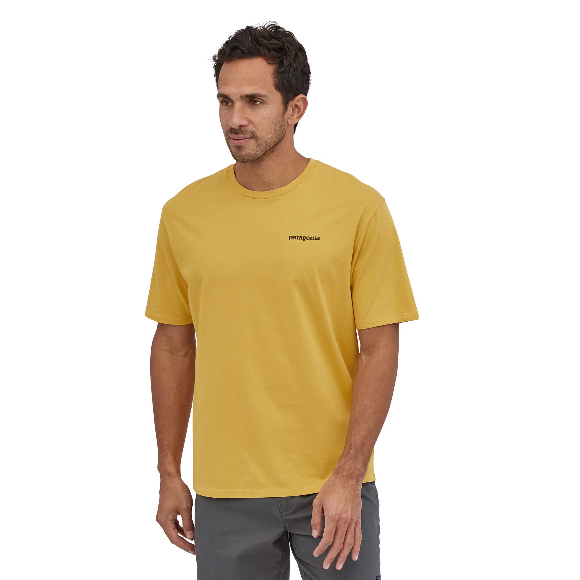 Patagonia Mens P-6 Logo Organic T-shirt — available at Norwood