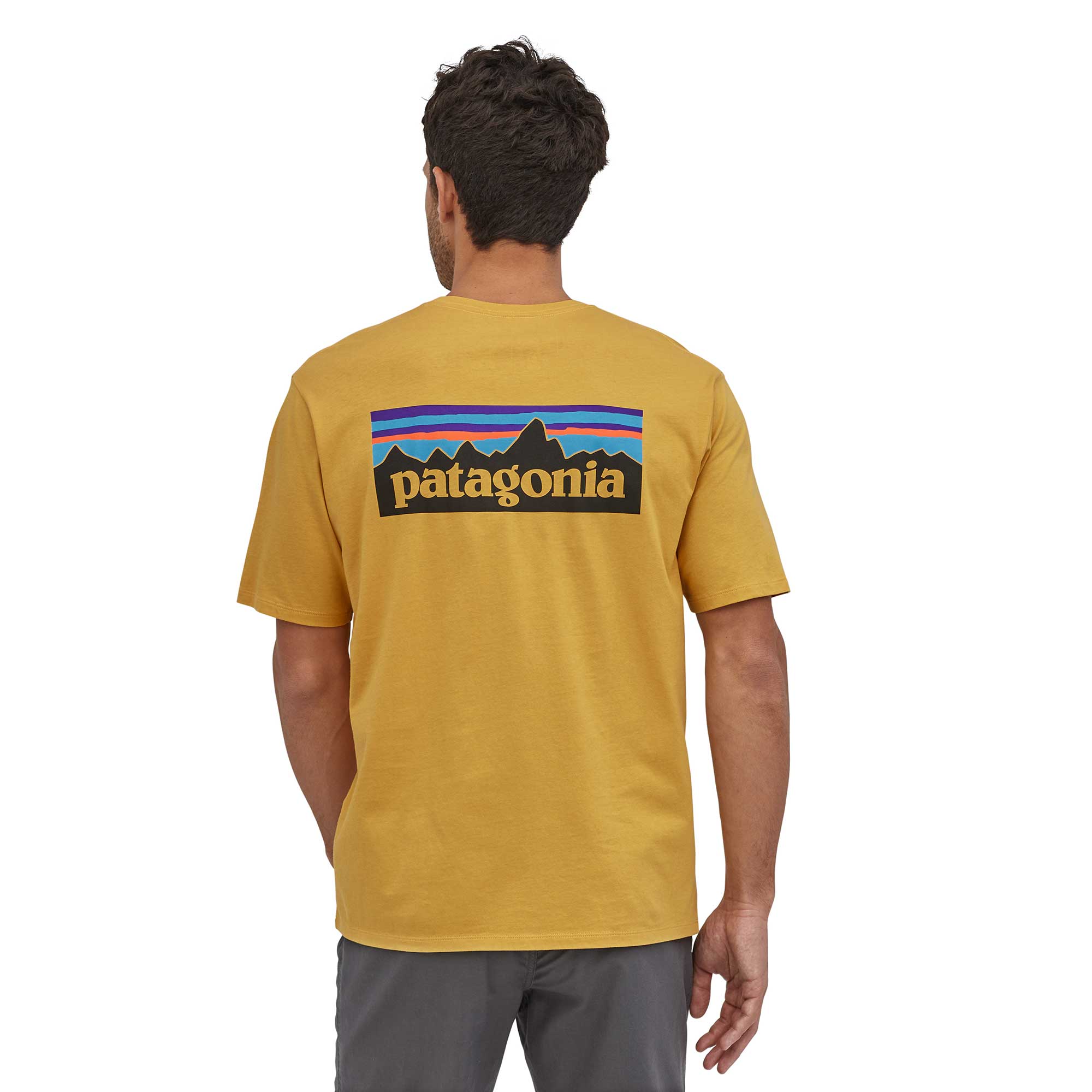 Patagonia Mens P-6 Logo Organic T-shirt — available at Norwood