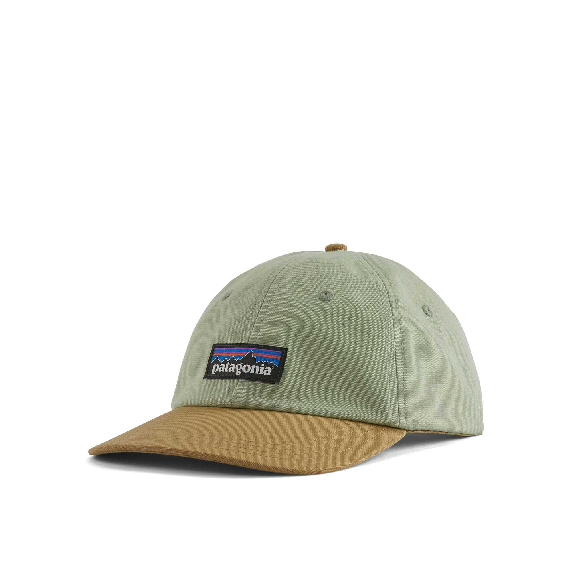 Patagonia P-6 Label Trad Cap, Salvia Green — available at Norwood