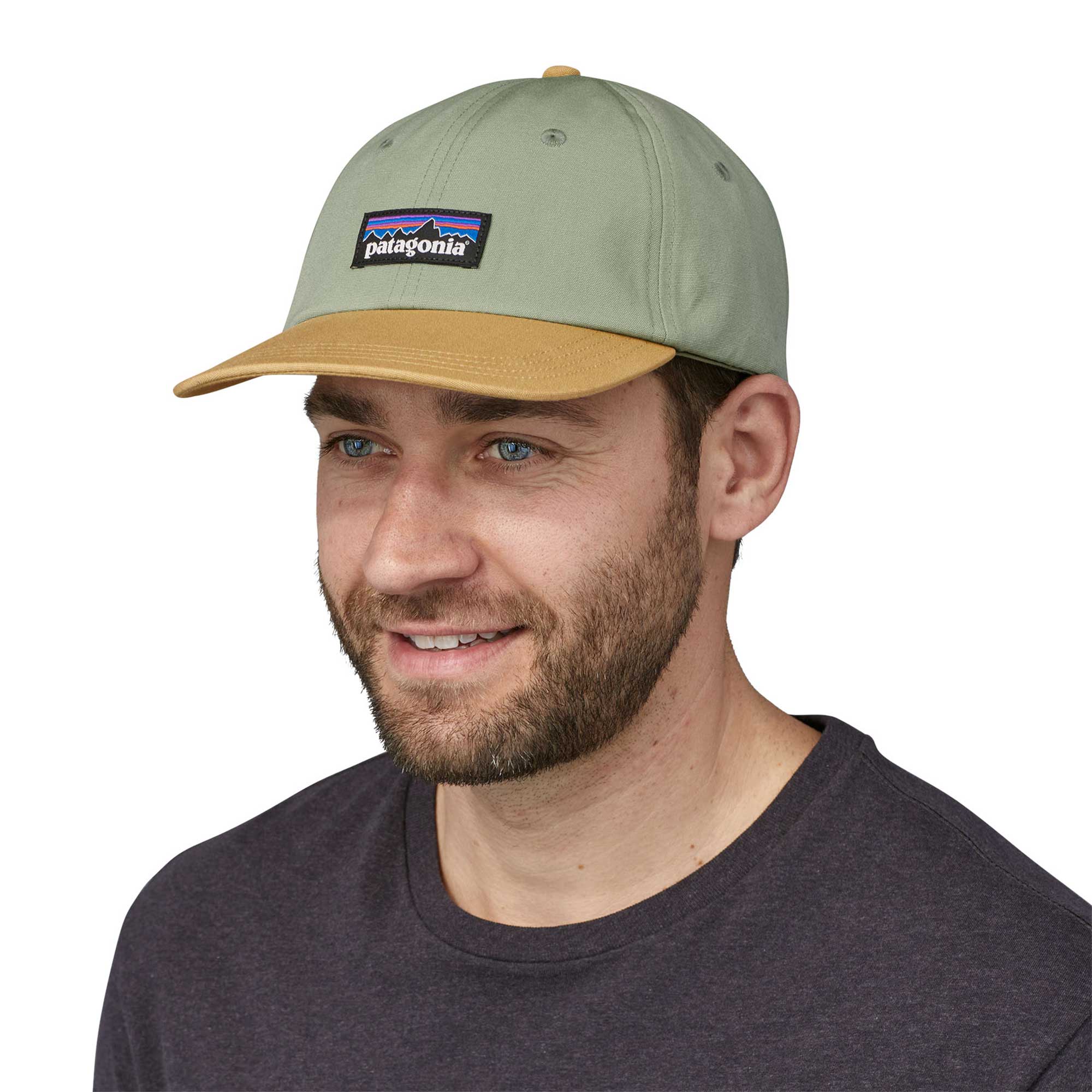 Patagonia P-6 Label Trad Cap, Salvia Green — available at Norwood