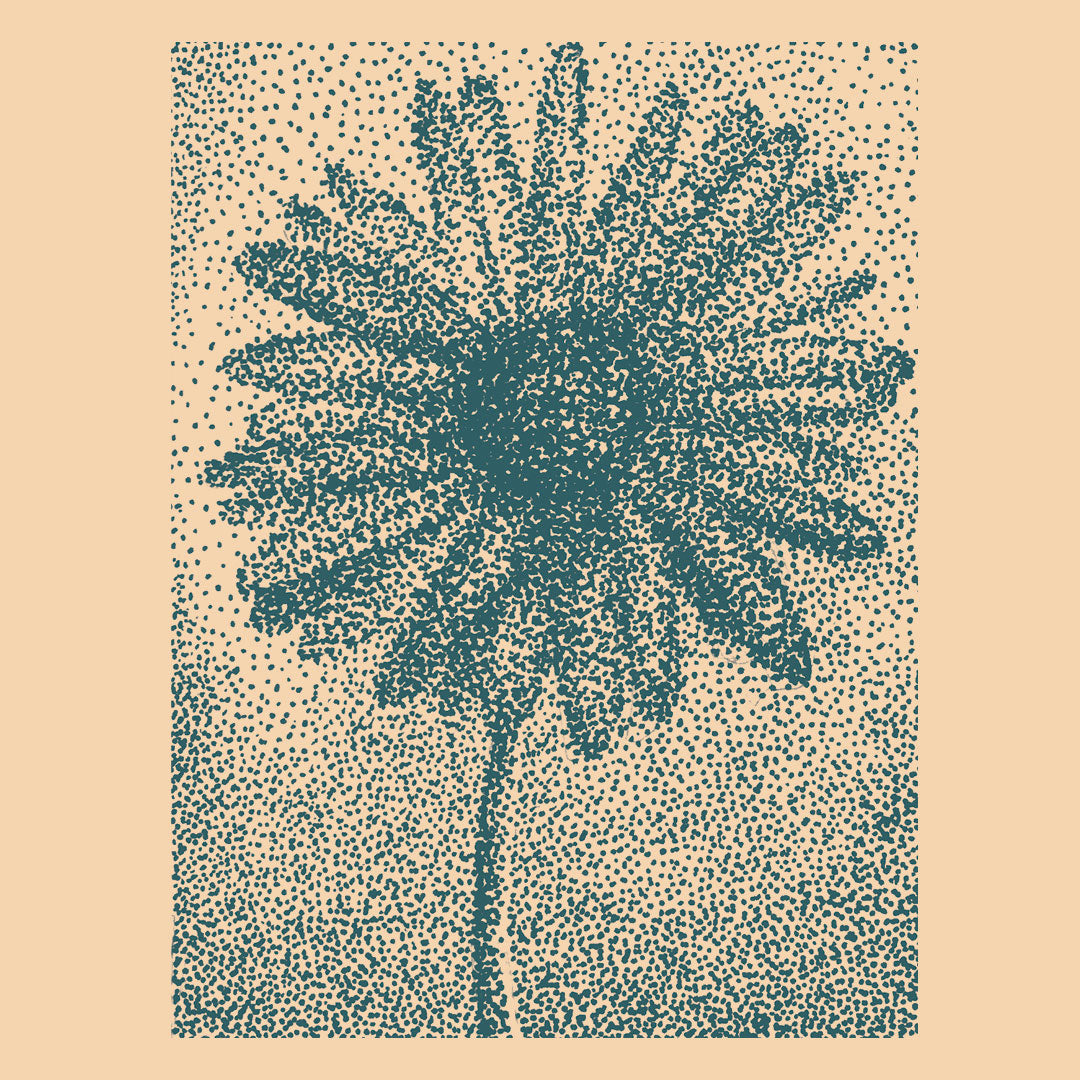 The Quiet Life Daisy premium tee — available at Norwood