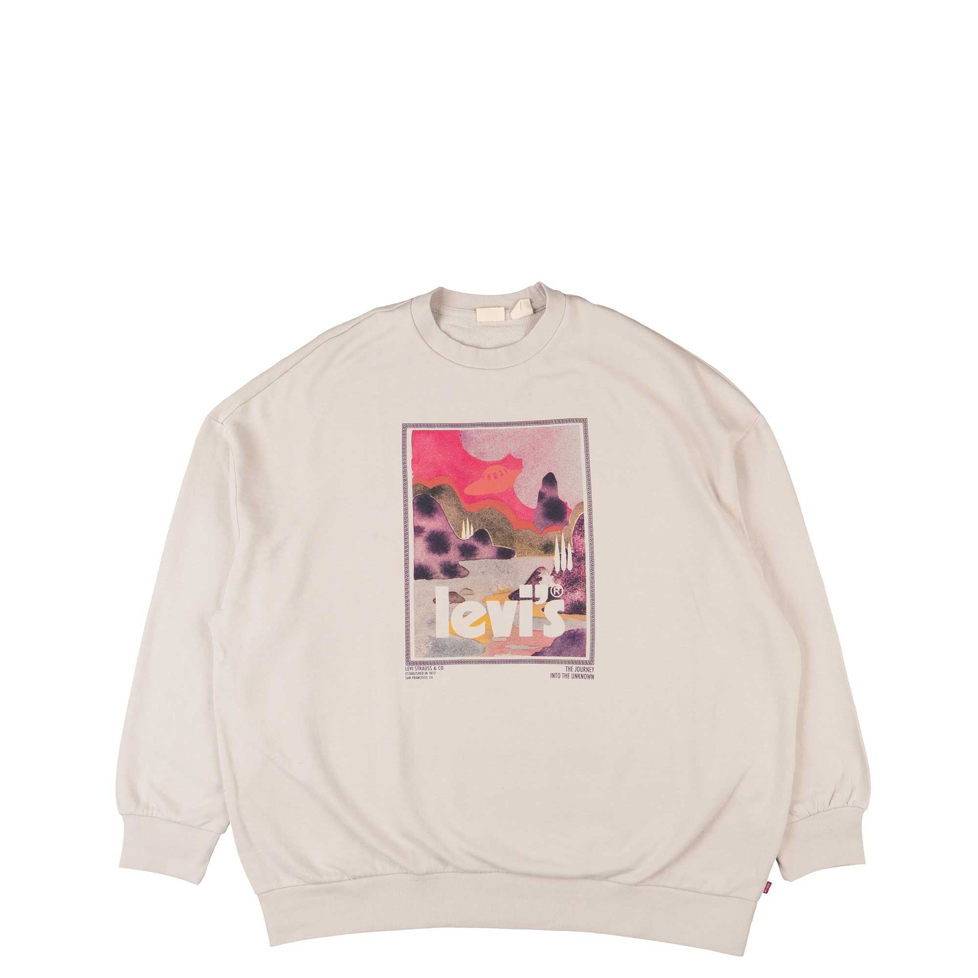 Levi's Womens Graphic Prism Crew — available at Norwood