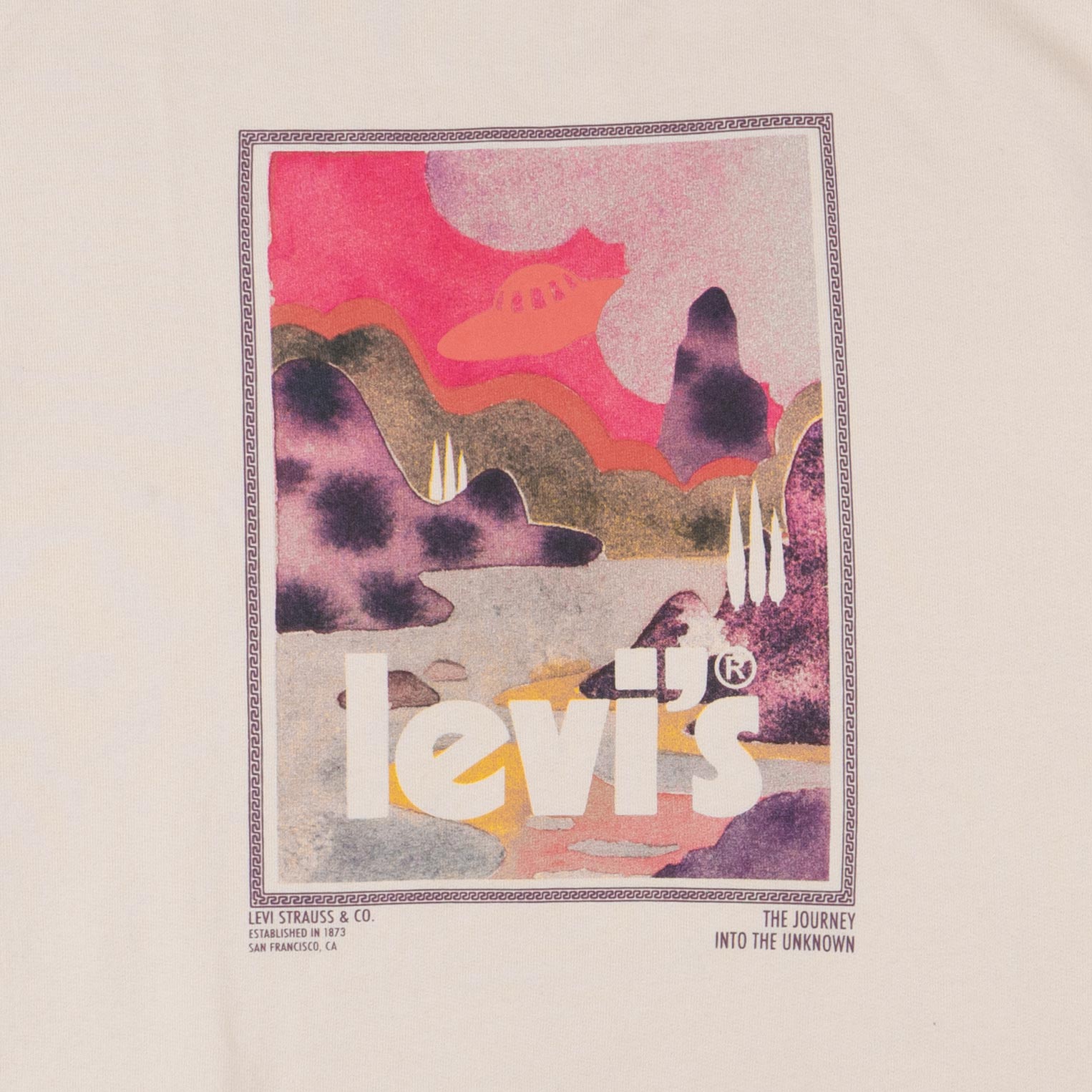 Levi's Womens Graphic Prism Crew — available at Norwood