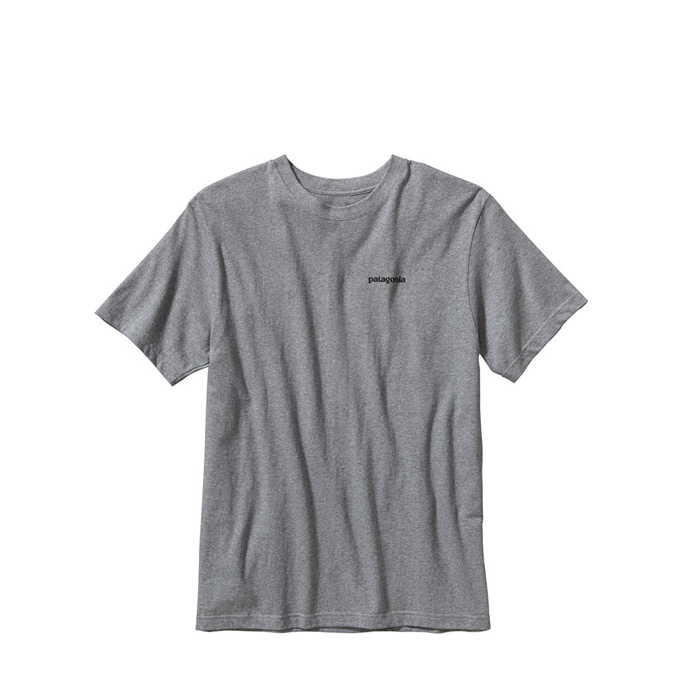 Patagonia P-6 Logo Cotton T-Shirt — available at Norwood