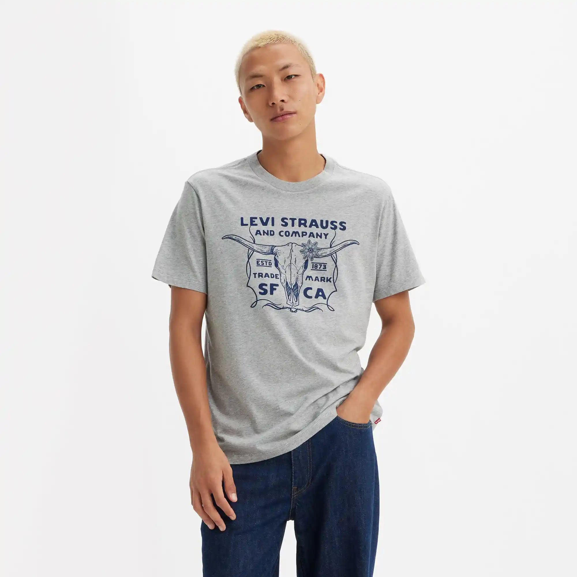 Levi s Americana Bull Skull Tee midtone heather grey 22491 1612 midtone heather grey XL