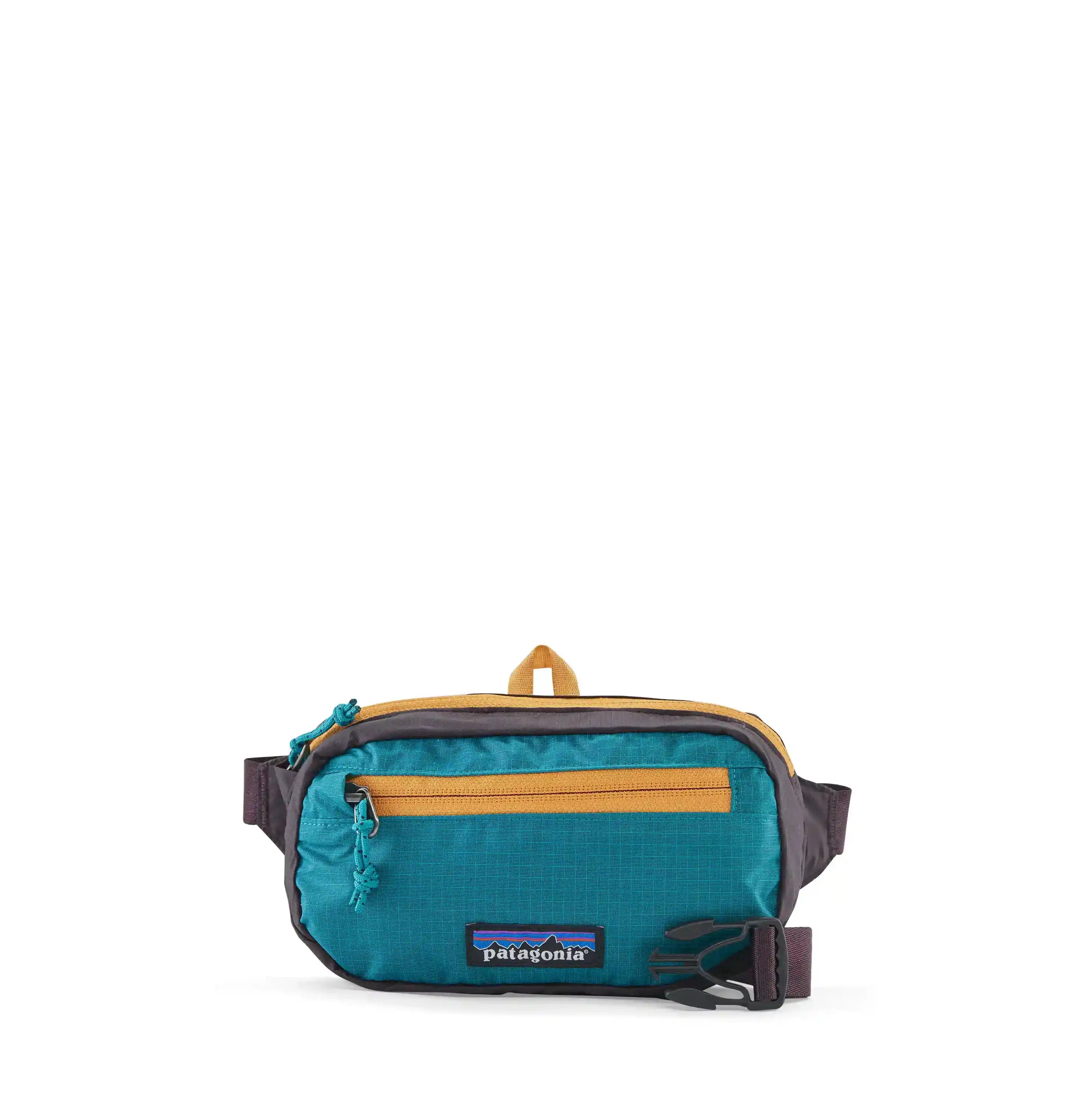 Patagonia mini hot sale belt bag