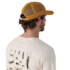 Patagonia Breezefarer Cap, bayou badge: raptor brown — available at Norwood