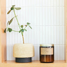 P.F. Candle Co. Teakwood & Tobacco Standard Soy Candle- 7.2 Oz — available at Norwood
