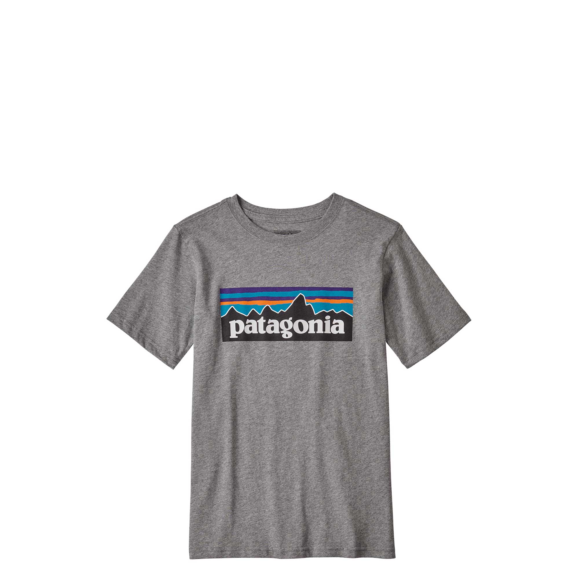 Patagonia Boys P 6 Logo Organic T shirt Norwood