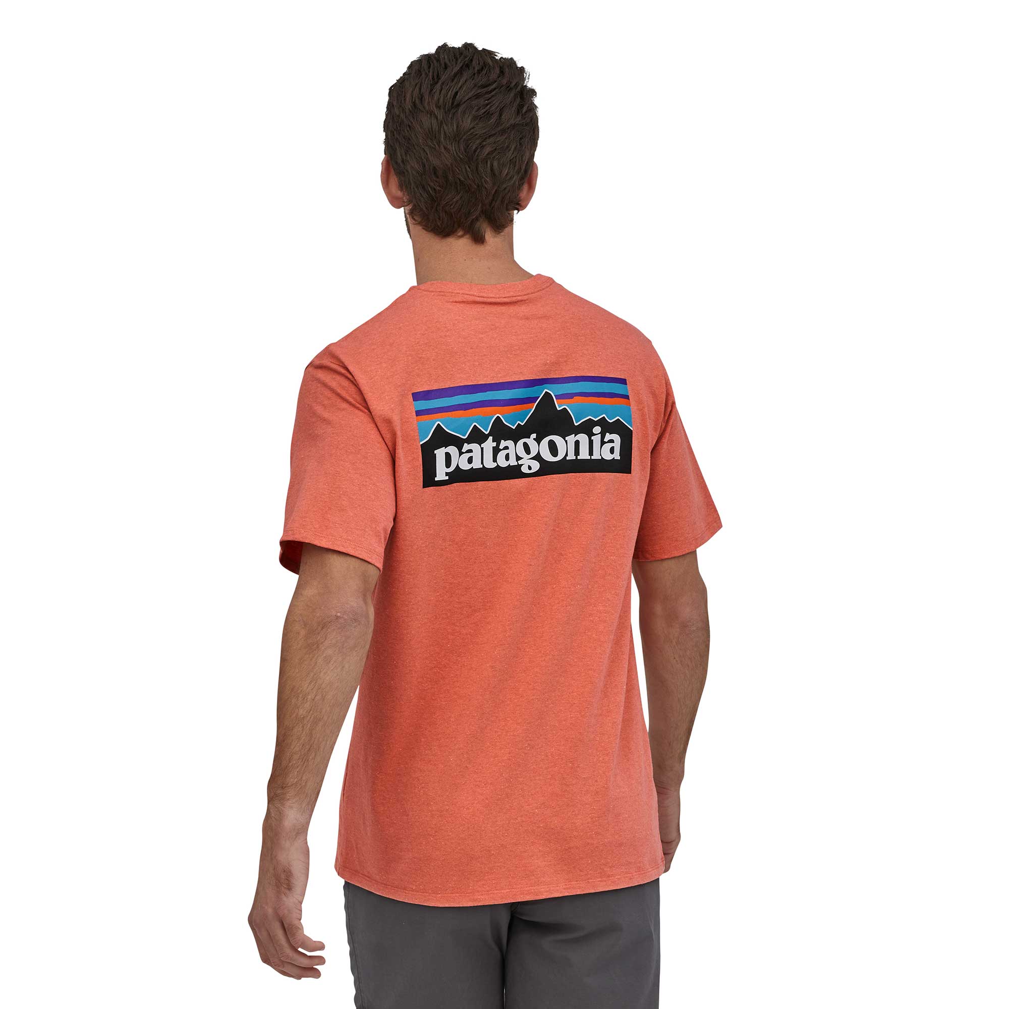 Patagonia Mens P-6 Logo Responsibili-tee® — available at Norwood